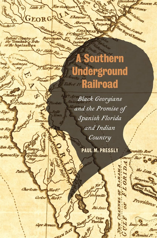 A Southern Underground Railroad by Paul M. Pressly